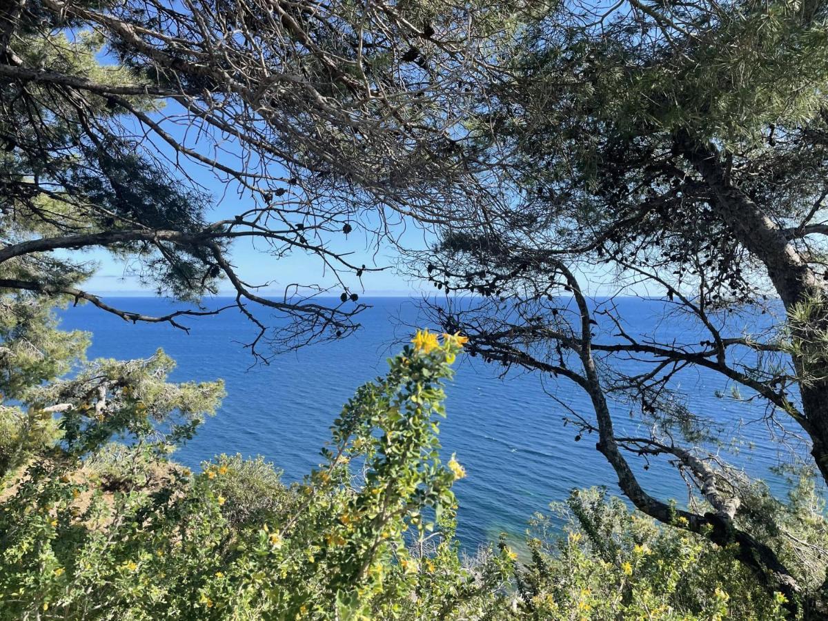 Appartement Mignon Calme Douillet Ascenseur Clim Etage Eleve Proche Parking Et Toutes Commodites Au Coeur Du Toulon Historique Ngoại thất bức ảnh